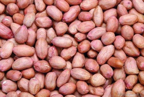 热点爆料花生米怎么做视频,轻松学会家常美味 第1张 热点爆料花生米怎么做视频,轻松学会家常美味 第1张